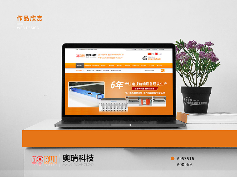 東莞網(wǎng)站建設案例