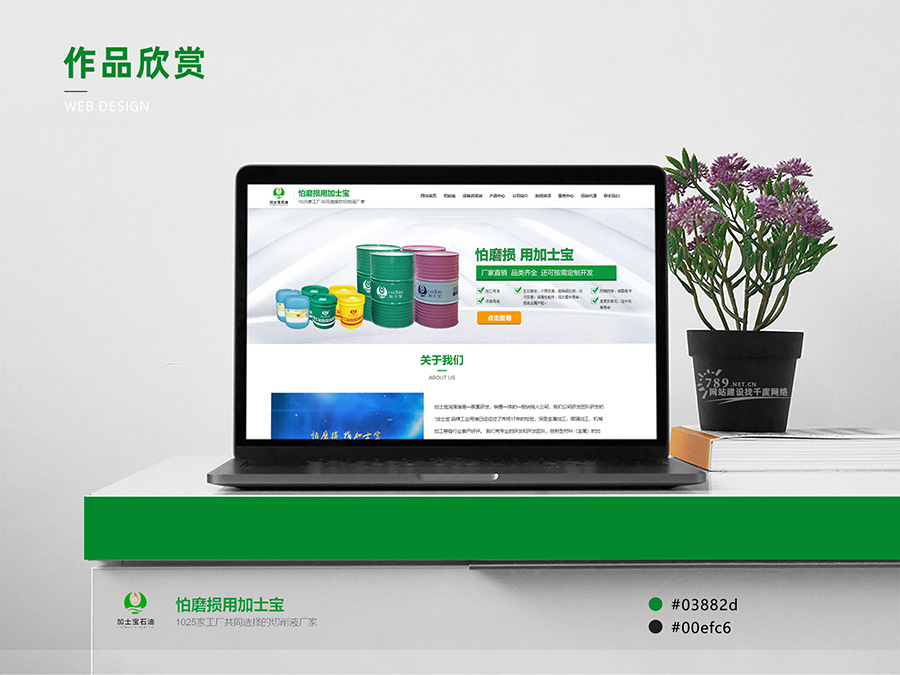 東莞網(wǎng)站建設案例